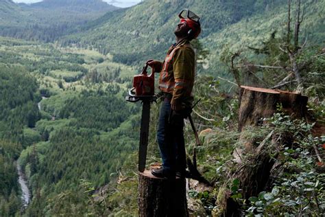 new serie dicober chanel|'The Last Woodsmen' Trailer: Loggers Risk Their Life for $70K .